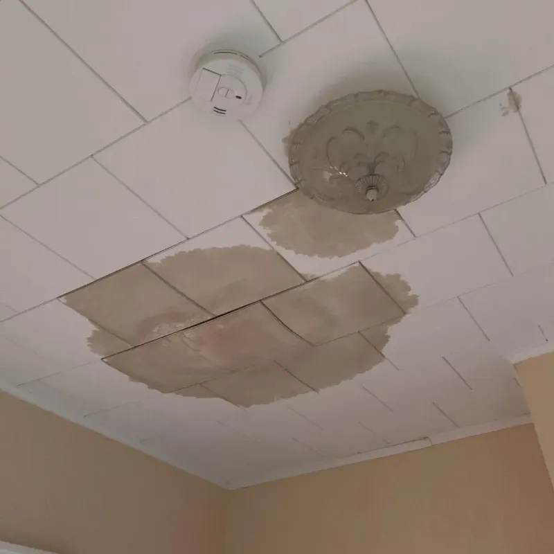 Ceiling Water Damage Repair in Mohall, ND