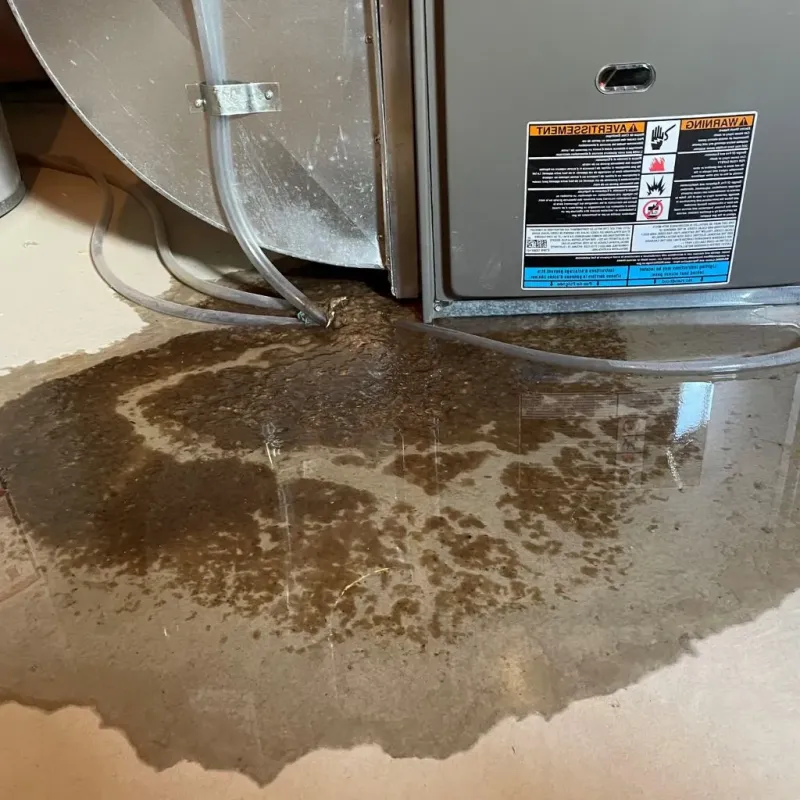 Pipe Burst and Leak Restoration in Mohall, ND