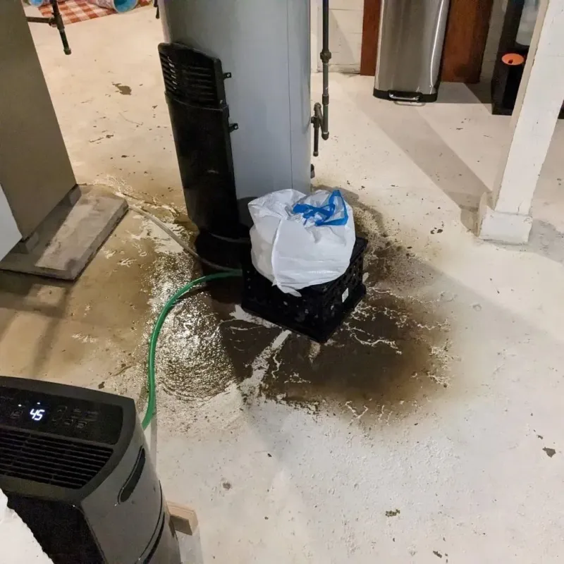 Sewage Backup Cleanup Service in Mohall, ND